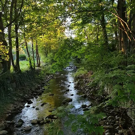 Nest * Мюнстер