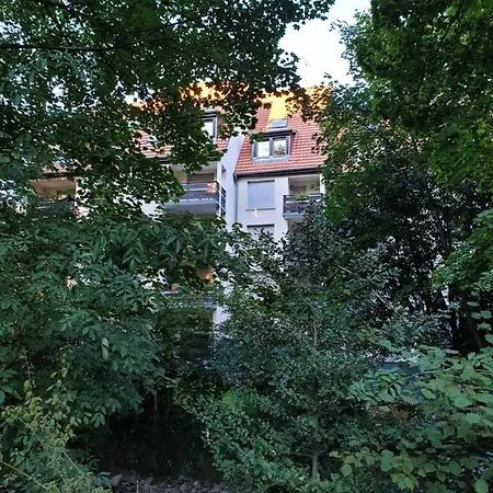 Nest Munster Munster (Haut-Rhin)